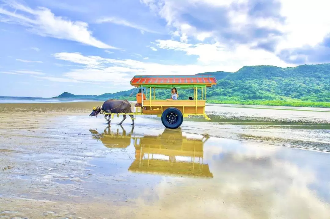 Snorkeling at Coral Island and Sightseeing in Yubujima Island