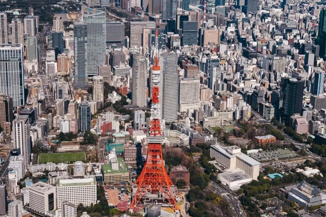 東京私人直升機飛行體驗