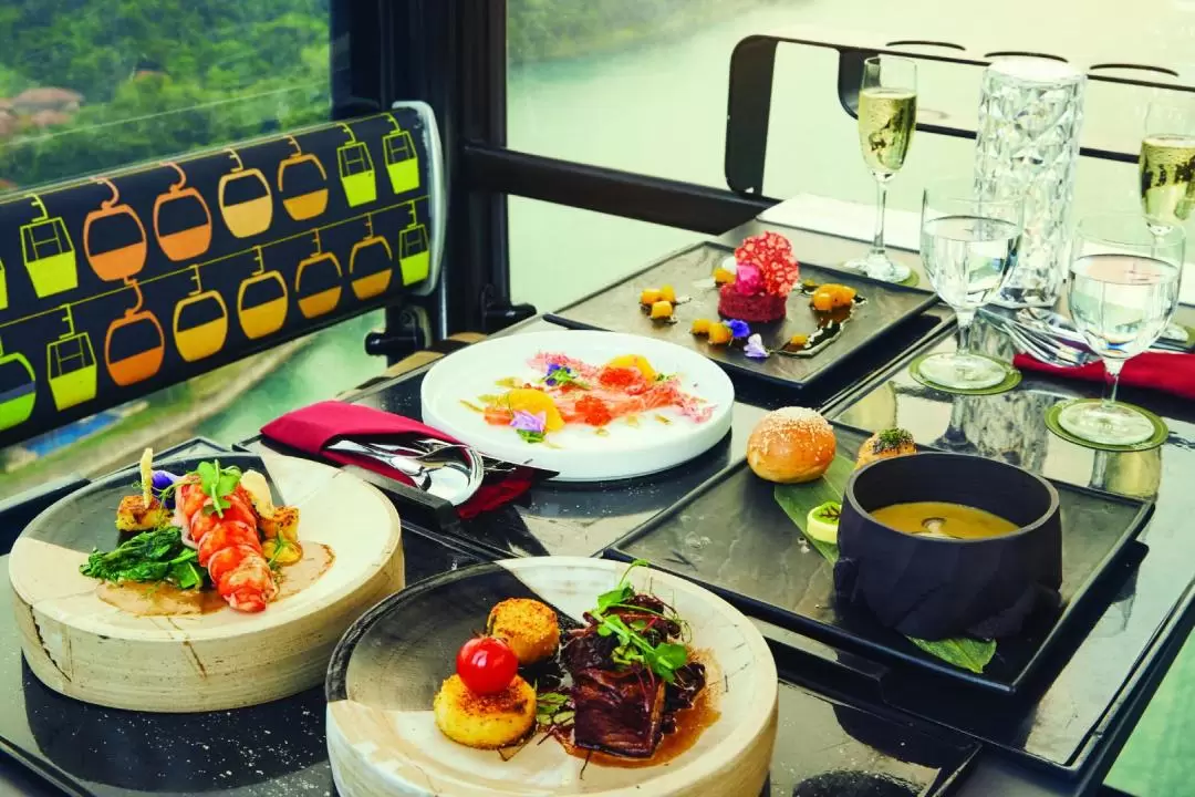 Cable Car Dining Experience in Singapore