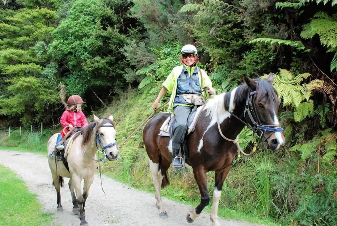 Private Matakana Art and Horse Riding Experience from Auckland