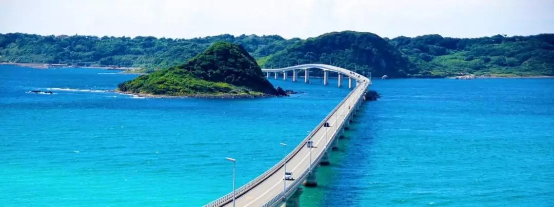 Tsunoshima Bridge & Motonosumi Inari Shrine Day Tour from Fukuoka