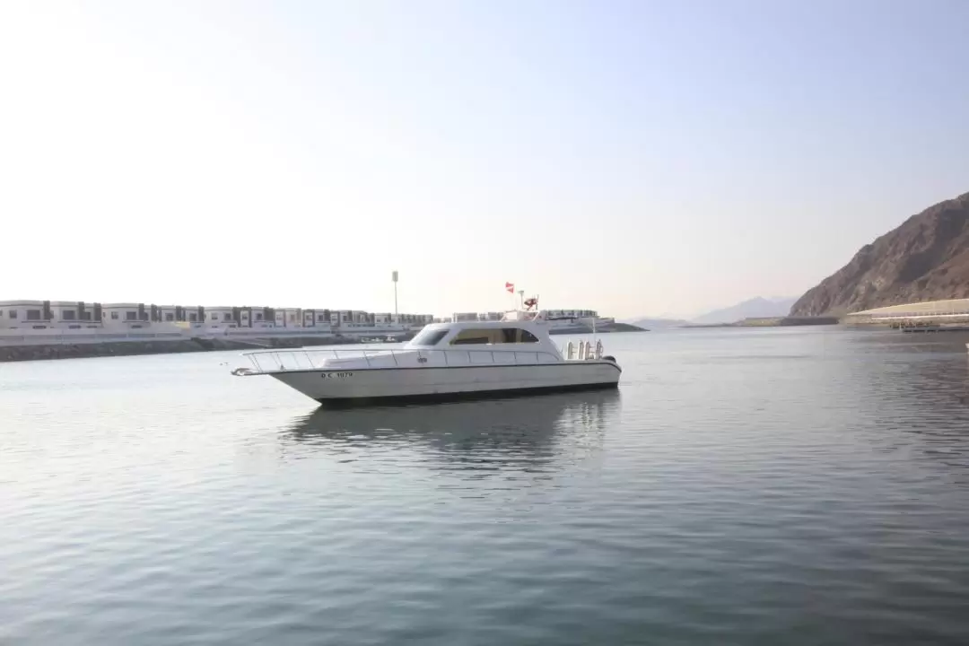 Guided Snorkeling Day Tour in Fujairah with BBQ Lunch from Dubai