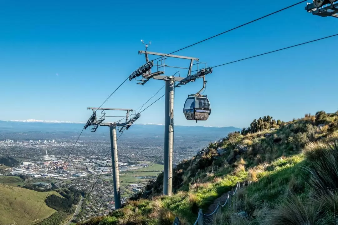 Christchurch Gondola Ticket