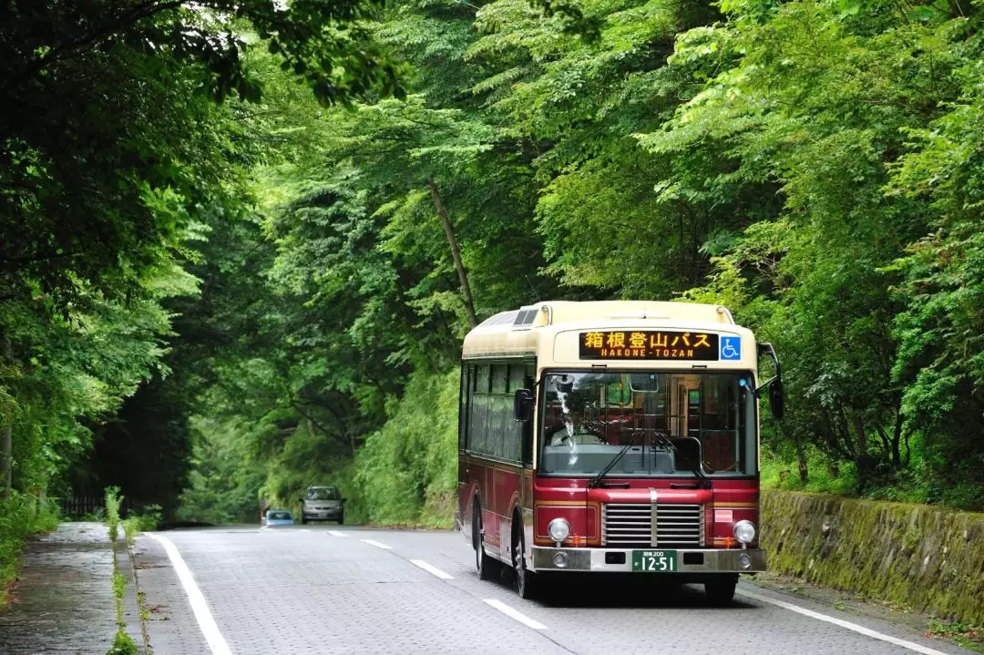 Fuji-Hakone Pass Voucher