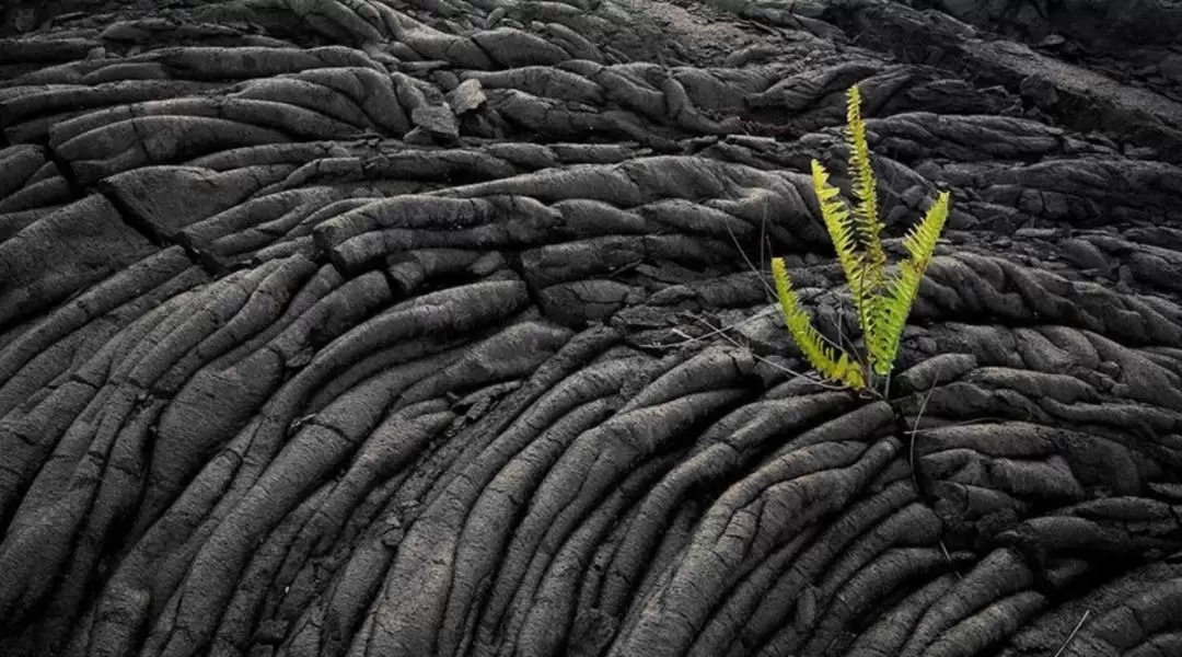 ビッグアイランド火山アドベンチャー日帰りツアー（ヒロ発）