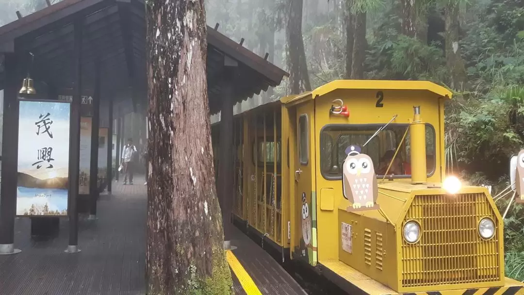 太平山国家森林遊楽区 日帰りツアー（宜蘭）