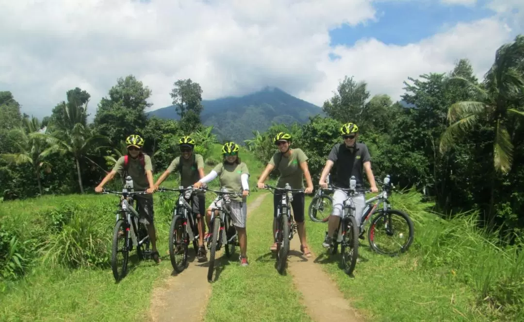 Jatiluwih Rice Terraces Electric Bike Tour in Bali