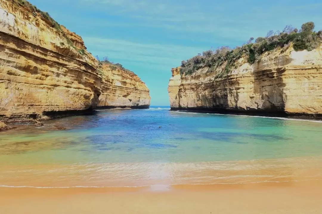 Great Ocean Road and 12 Apostles Private Day Tour