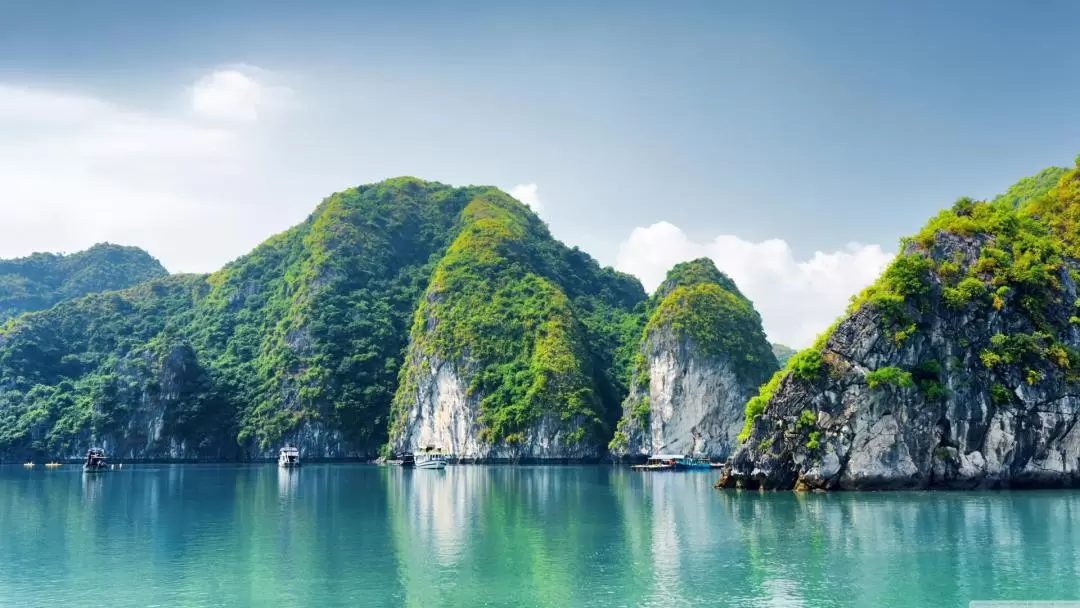 [Route 2] Halong Bay Day Cruise Tour by Thang Loi Cruise