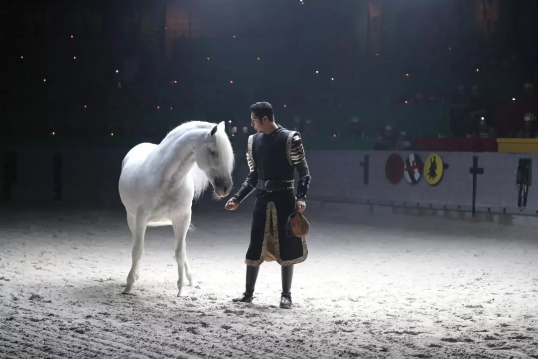 Medieval Times Orlando Dinner and Tournament Ticket