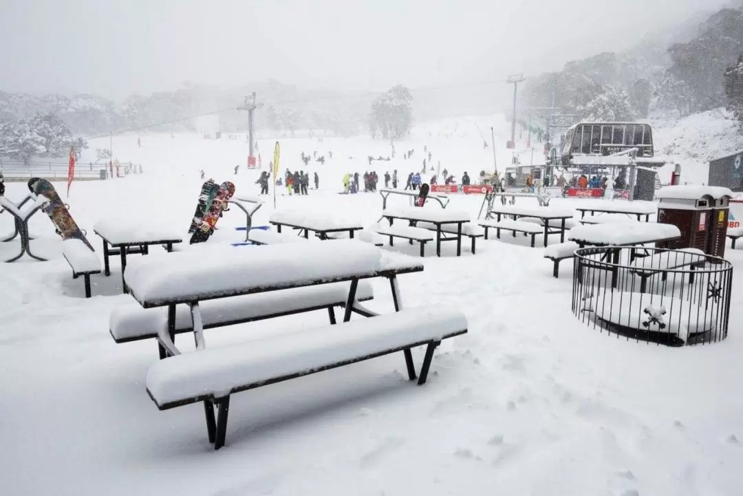 Thredbo & Perisher一日遊（堪培拉出發）