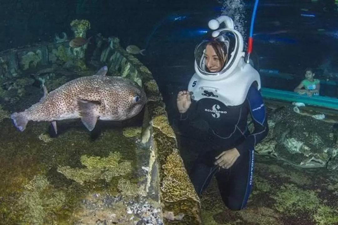 SeaTREK Experience in UnderWater World Guam