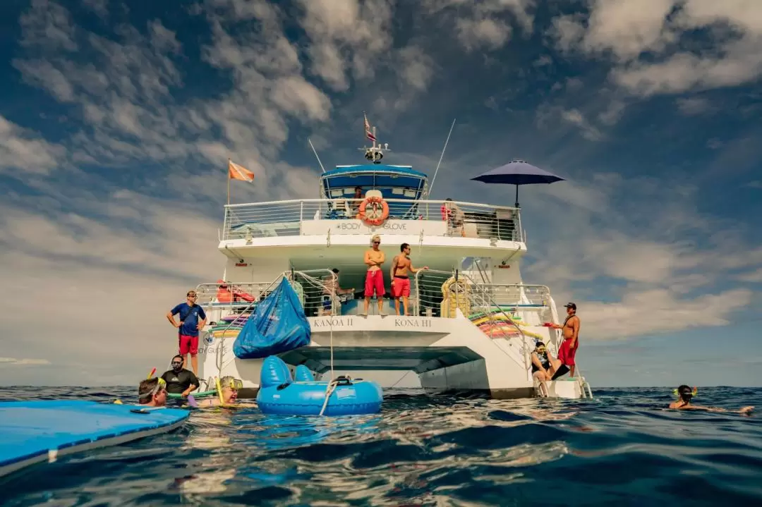 Deluxe Snorkeling & Dolphin Watching Experience in the Big Island