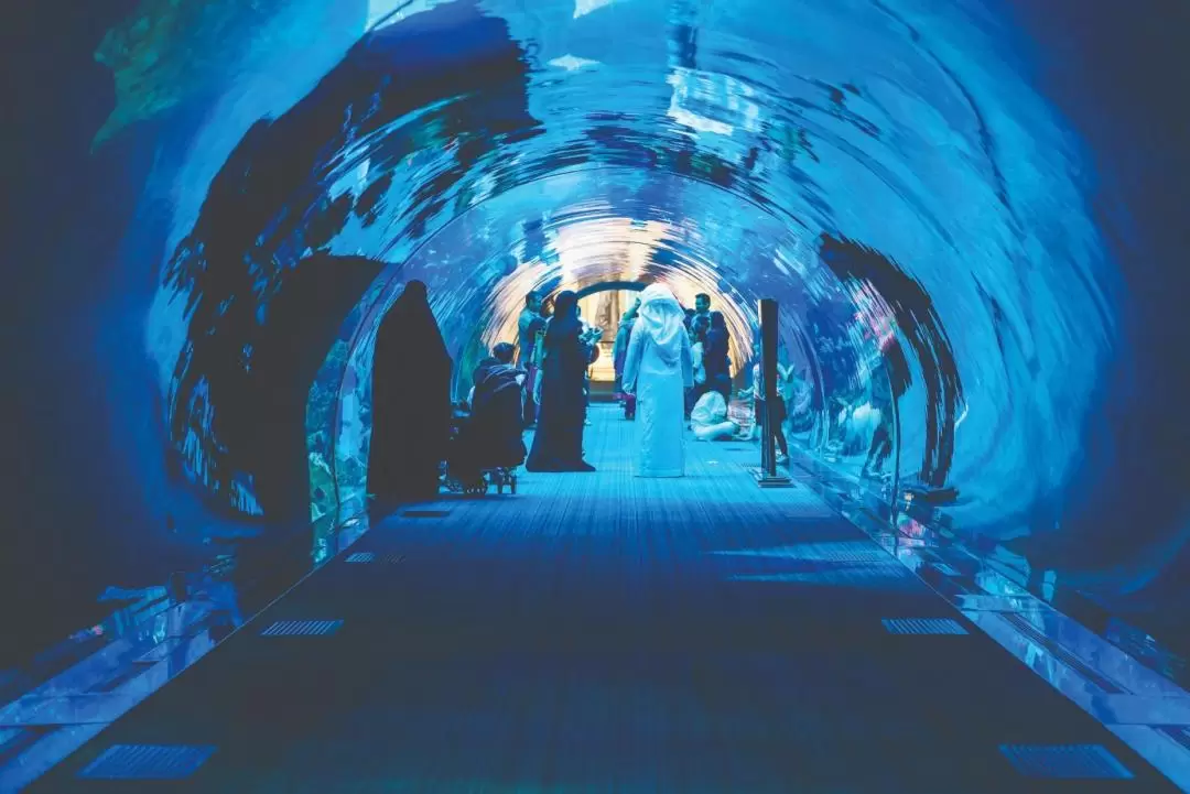 Dubai Aquarium and Underwater Zoo At Dubai Mall