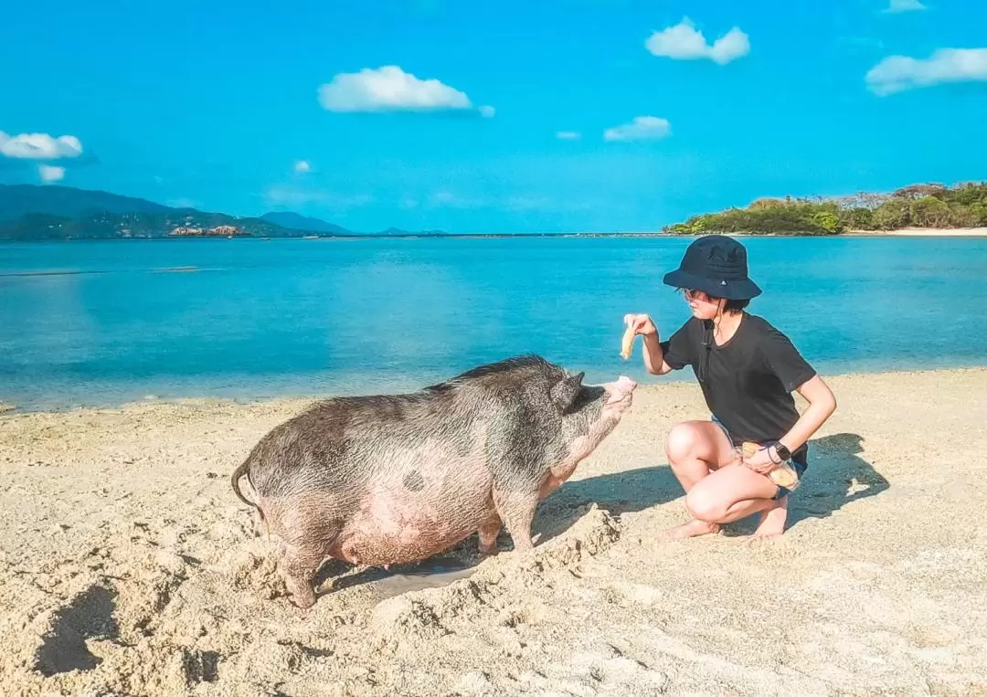 旦島（Koh Tan ）& 麥蘇姆島（Koh Mudsum）一日遊（蘇梅島出發）