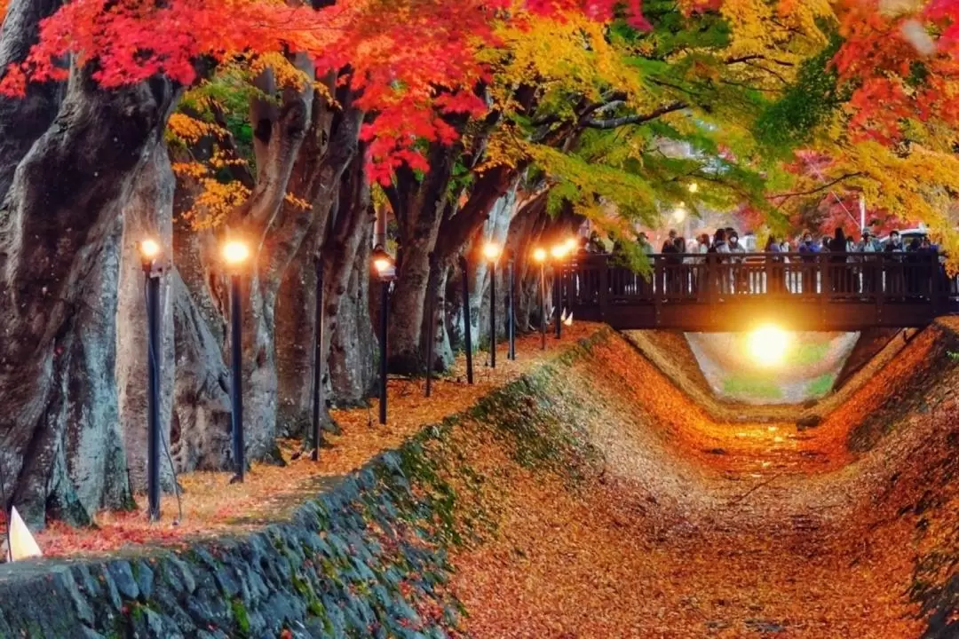 Mt. Fuji & Lake Kawaguchi Autumn Maple Day Tour from Tokyo