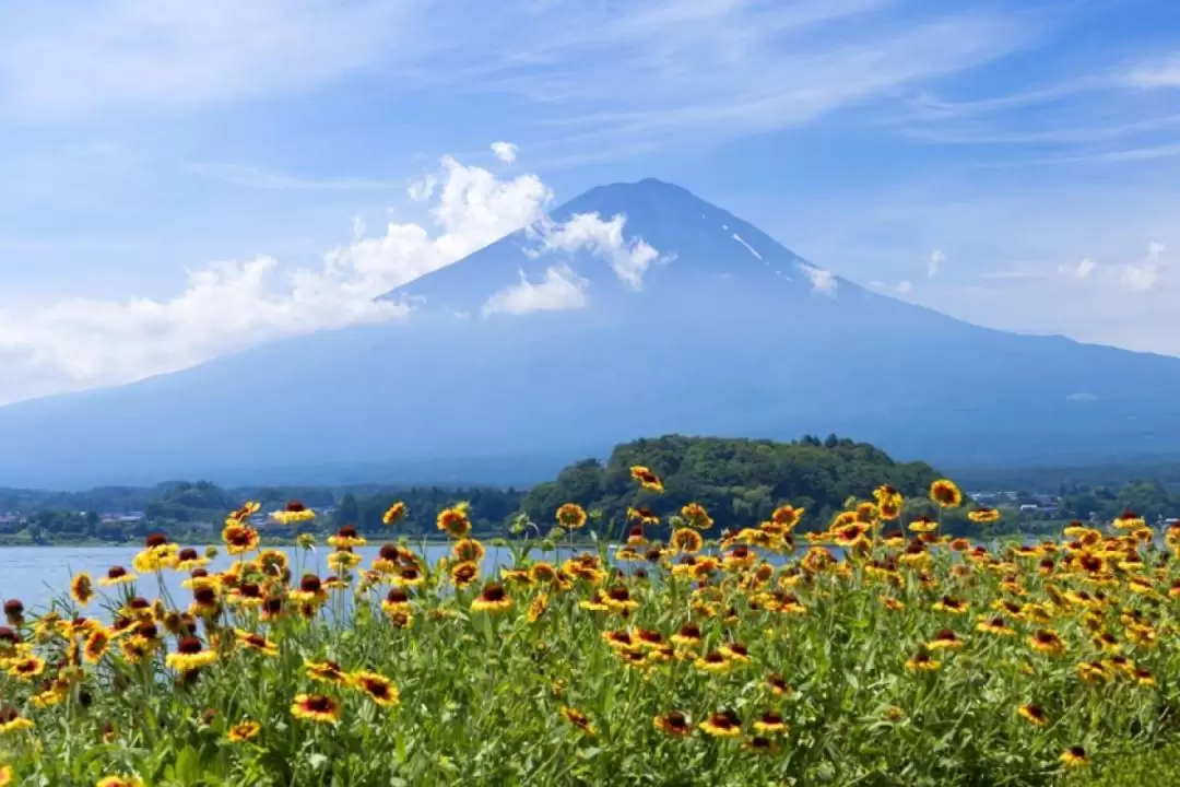 富士山觀光一日遊（東京出發）