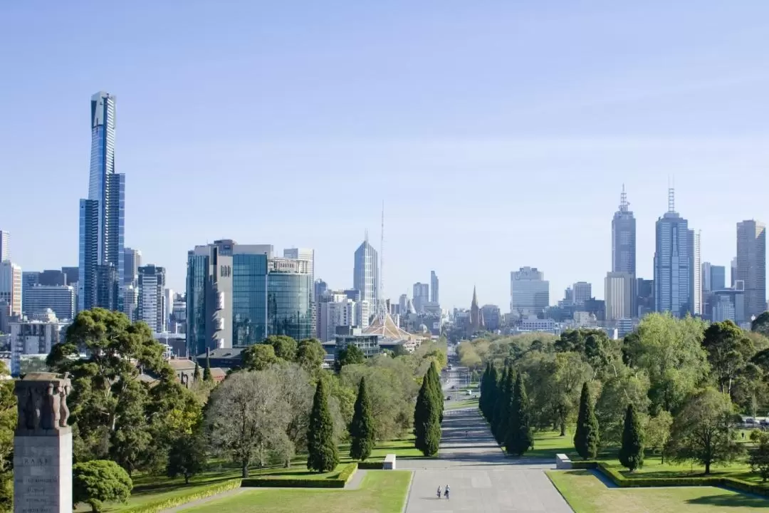 Melbourne City Discovery Half Day Tour