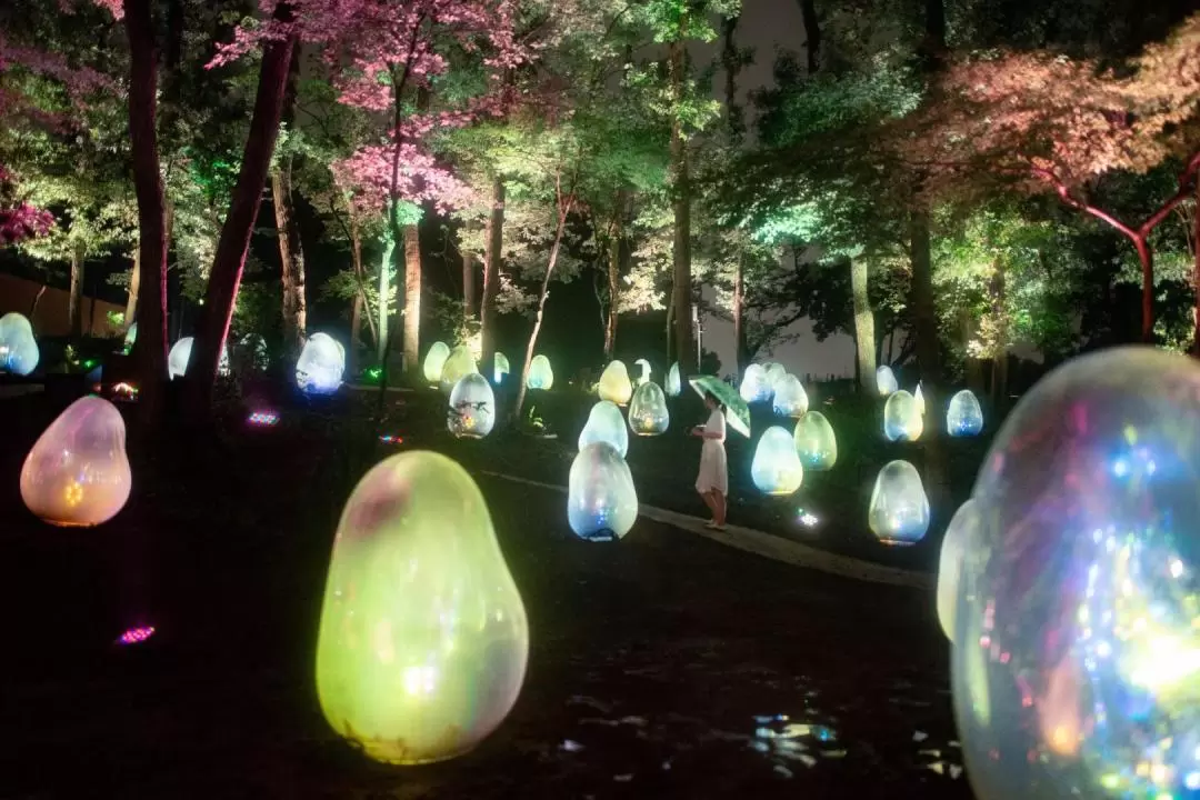 teamLab: Resonating Life in the Acorn Forest Ticket in Tokorozawa