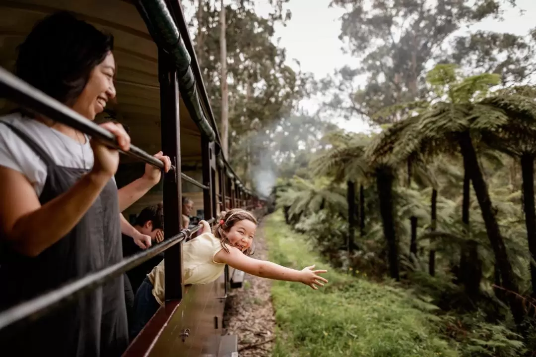 Puffing Billy Railway Ticket or Bus Tour