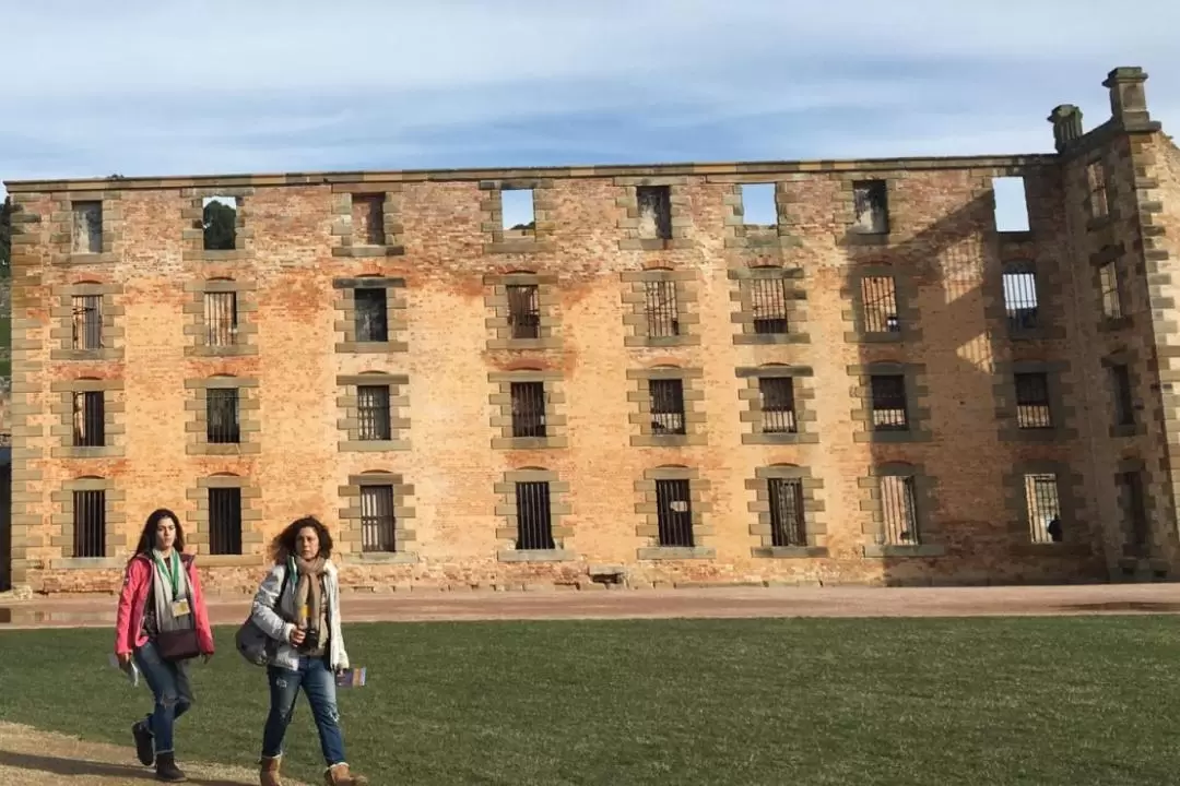 Port Arthur and Tasmanian Devils Day Tour from Hobart