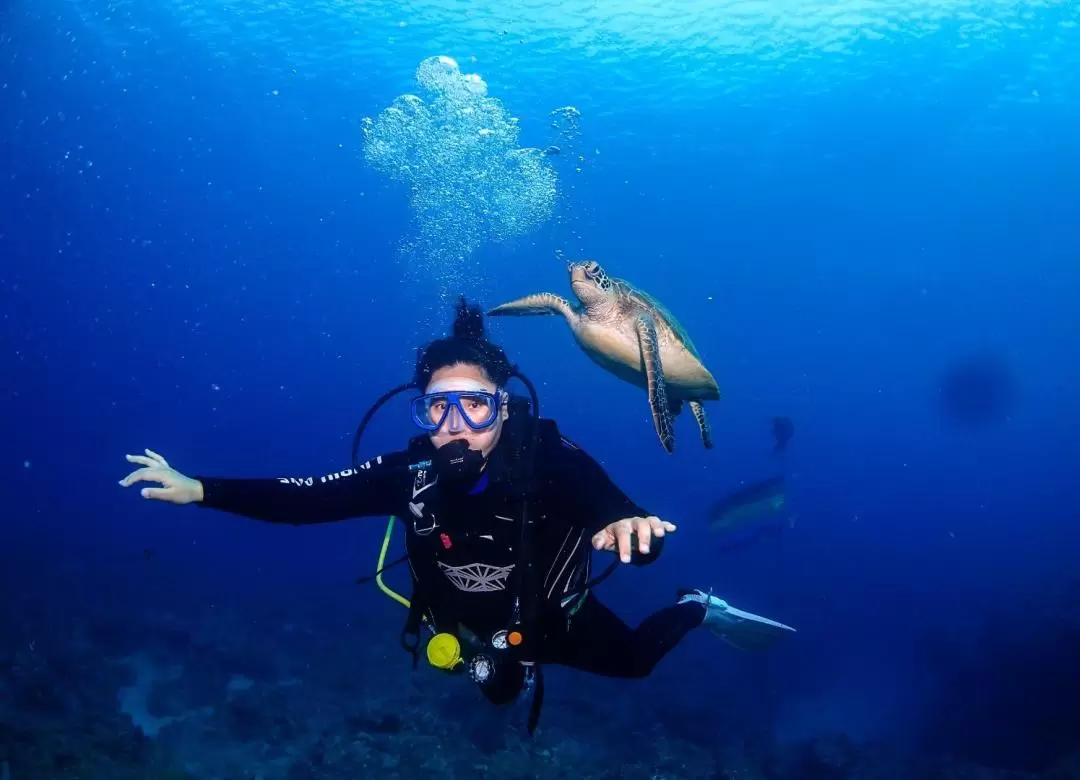 Pingtung: Discover Diving Experience in Lambai Island by Liuqiu Dive