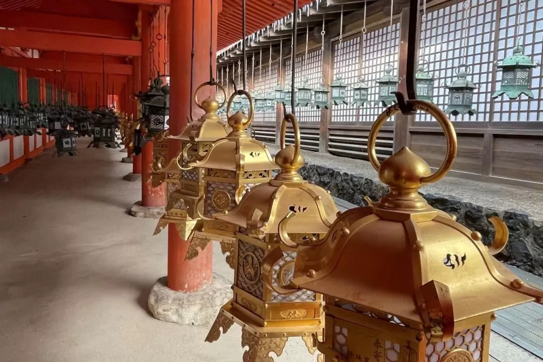 Todaiji, Nara Park, & Kasuga Taisha Shrine Half Day Tour from Osaka