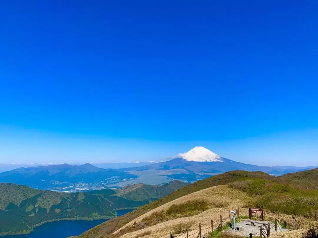 富士山＆箱根一日游：芦之湖＆驹岳空中缆车（东京出发）