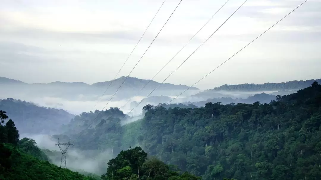 Khao Sok Discovery Day Tour from Phuket and Khaolak to Khaosok