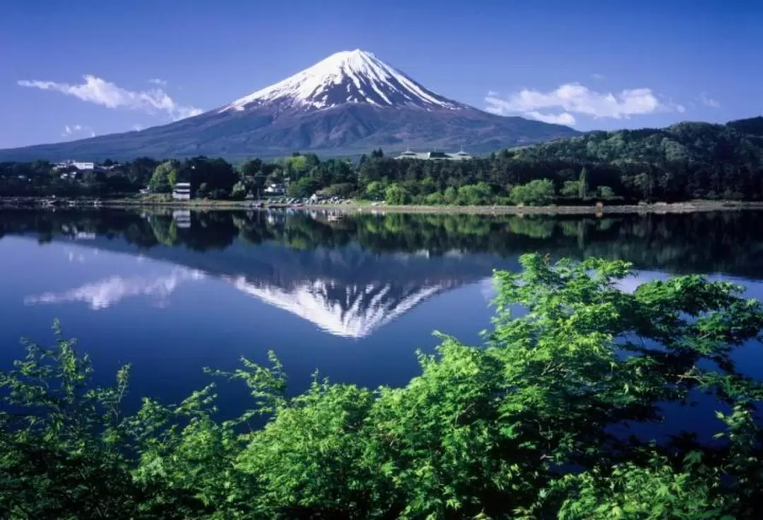 Mt. Fuji & Hakone Day Tour with Hotel Pick-Up & Drop-up Service