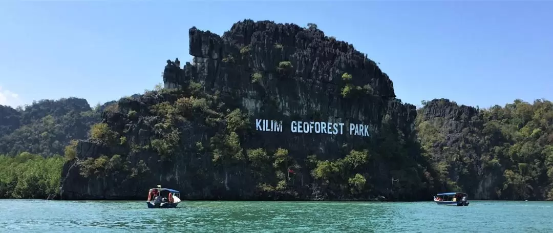 Tanjung Rhu Mangrove Tour with Lunch and Transfers in Langkawi