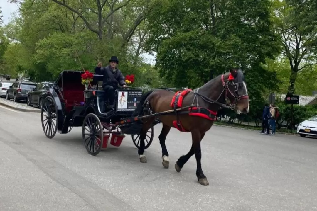 中央公園紐約熱門馬車騎行體驗