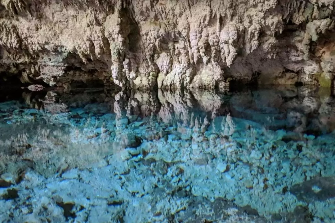 桑給巴爾Kuza洞穴 & 岩石餐廳之旅