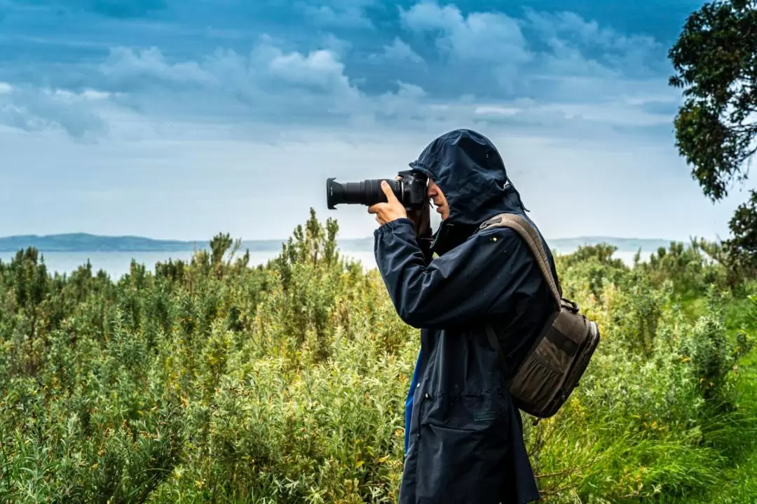 French Island Naturaliste Tours - Wines, Vines, and Vistas 