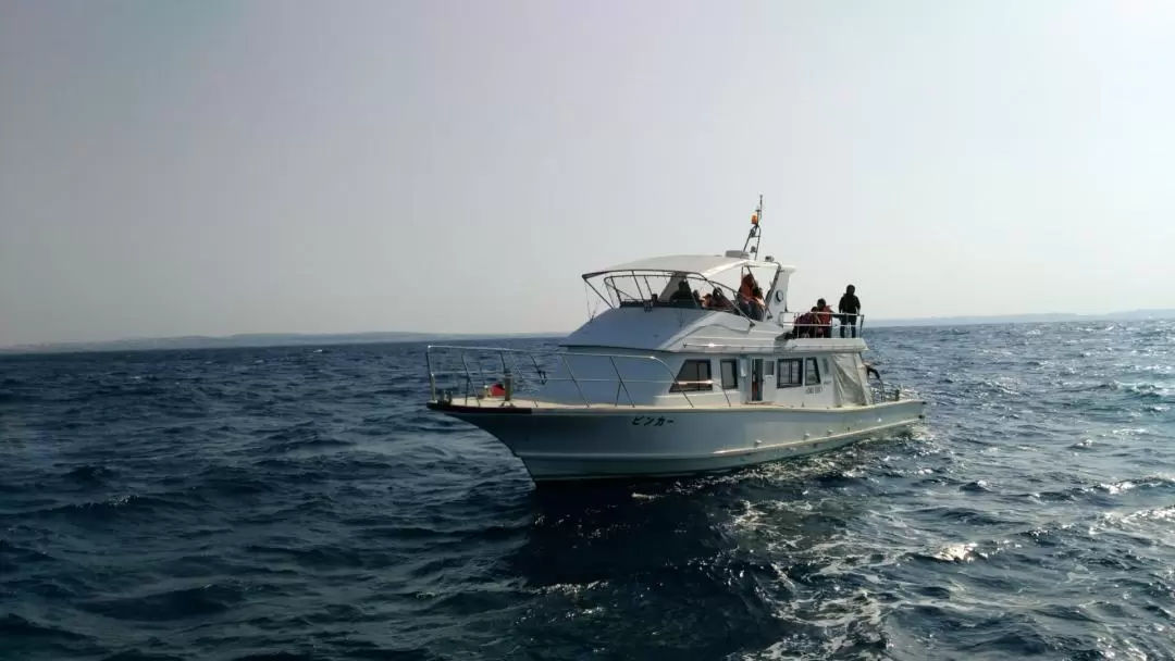 Okinawa Private Boat Charter by Cerulean Blue