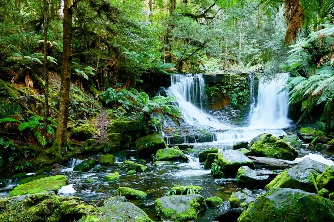 Bonorong Wildlife Sanctuary and Richmond Day Tour from Hobart with Tasmanian Mountain Stops