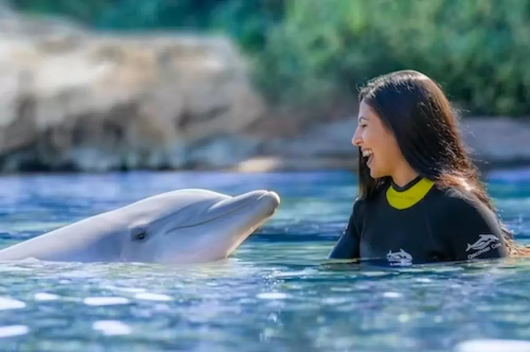 奧蘭多 Discovery Cove 主題樂園門票（含海豚共游體驗）