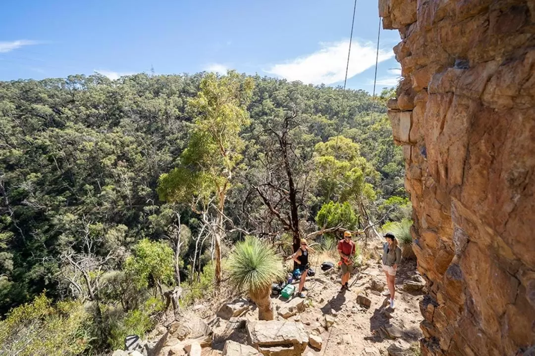 Rock Climb and Abseil Morialta