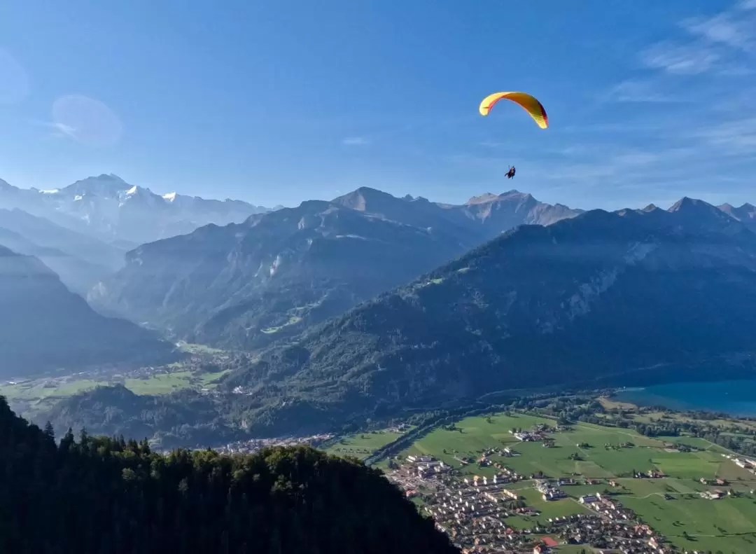 The Big Blue Tandem Paragliding Experience in Interlaken