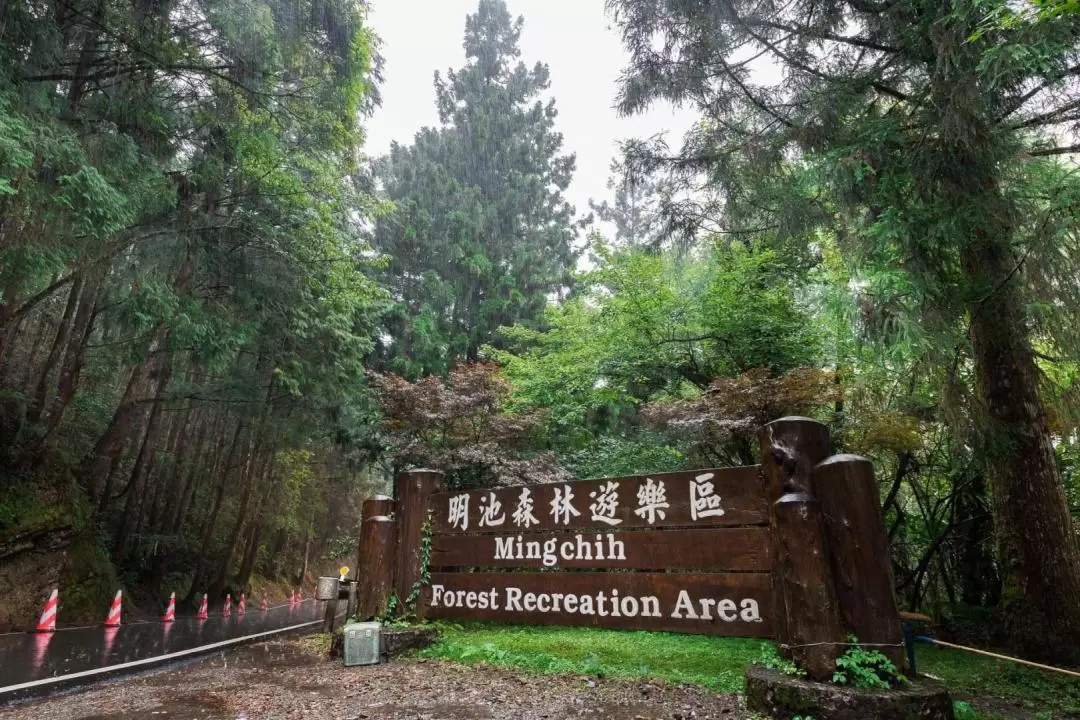 Mingchi Forest Jiuliao River Ecological Day Tour