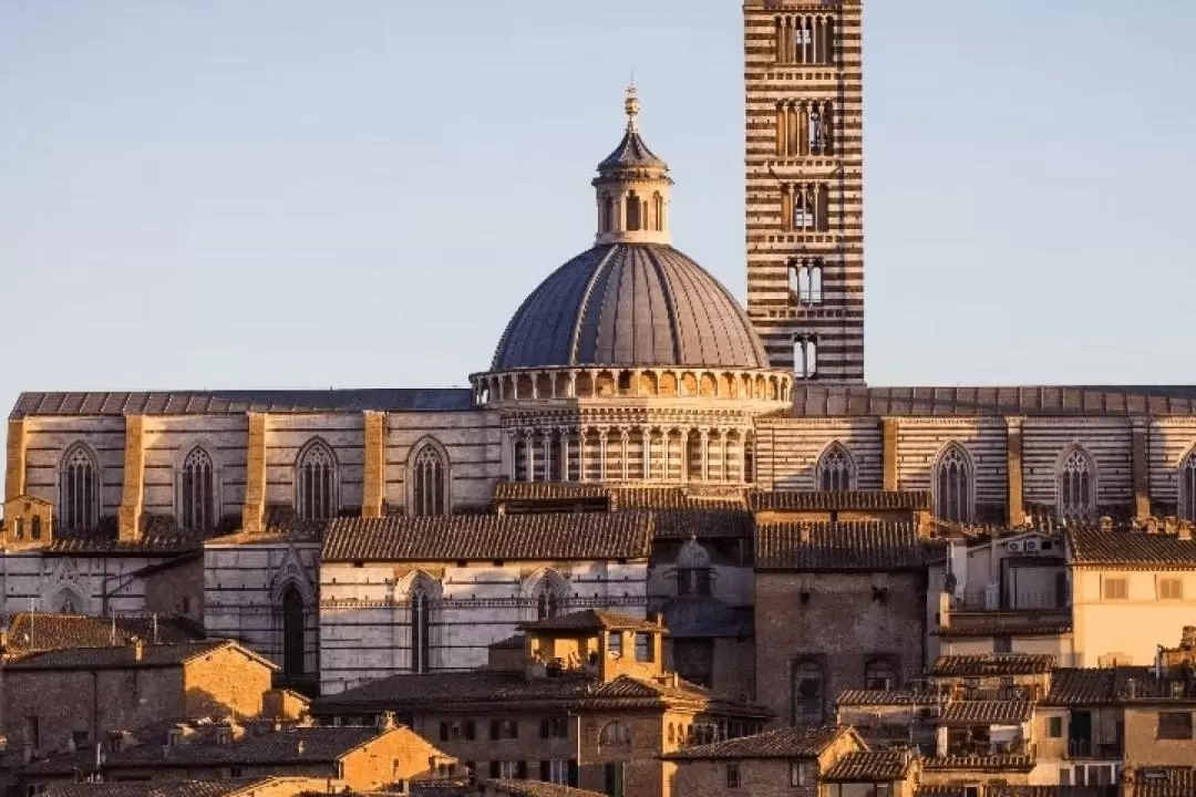 錫耶納大教堂（Cathedral of Siena）門票