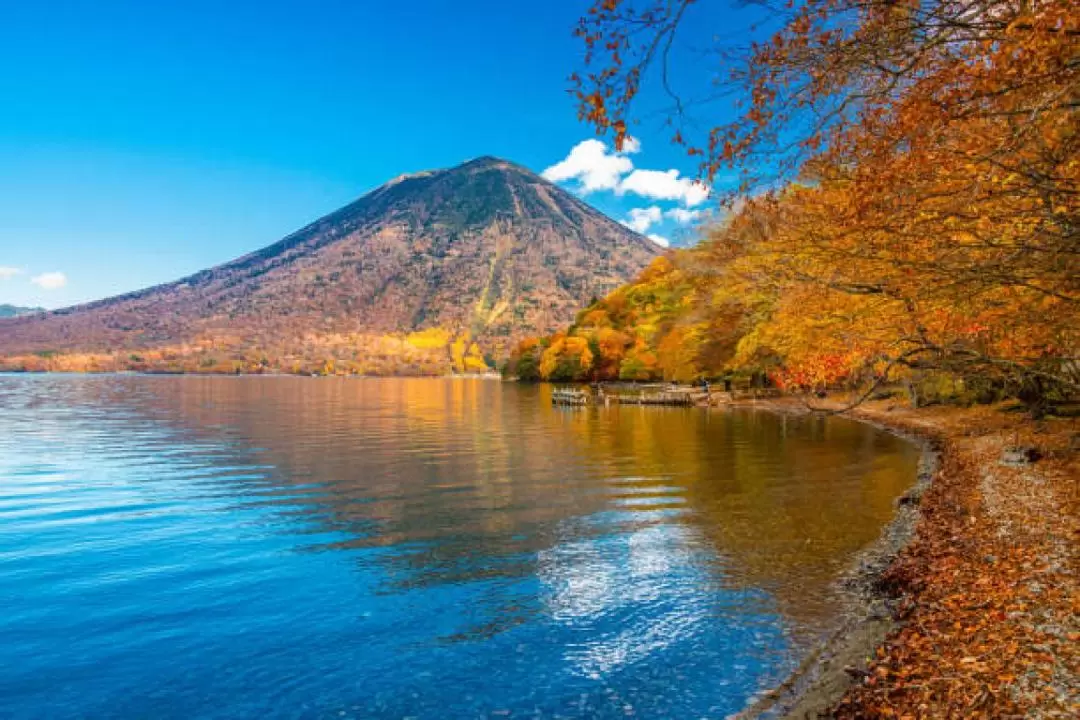 2D1N Toshogu Shrine, Nikko Edomura, Ashikaga Flower Park & Kinugawa Onsen Tour from Tokyo