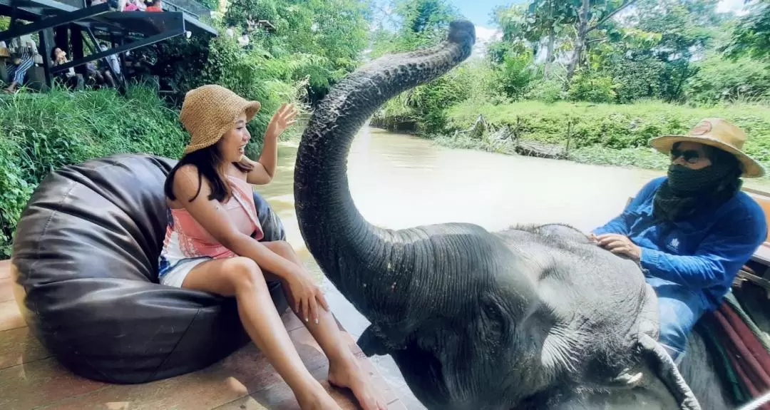 One-Day Tour from Bangkok to Pattaya with Elephant Cafe and more