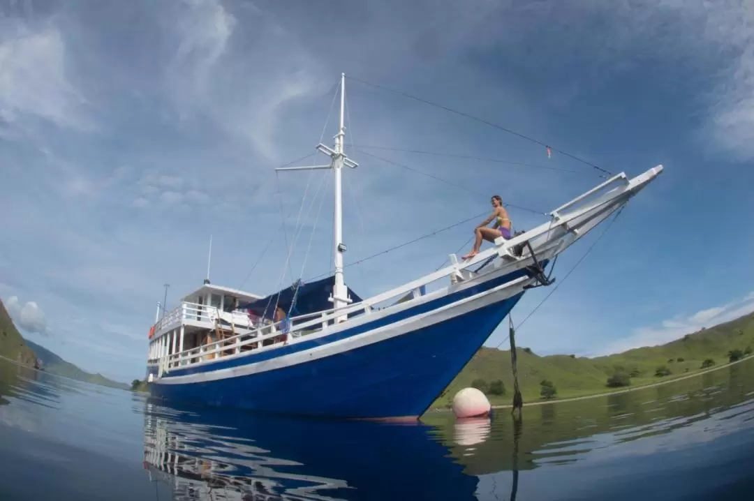 3-7 Days Liveaboard Dive Trip by Dive Komodo